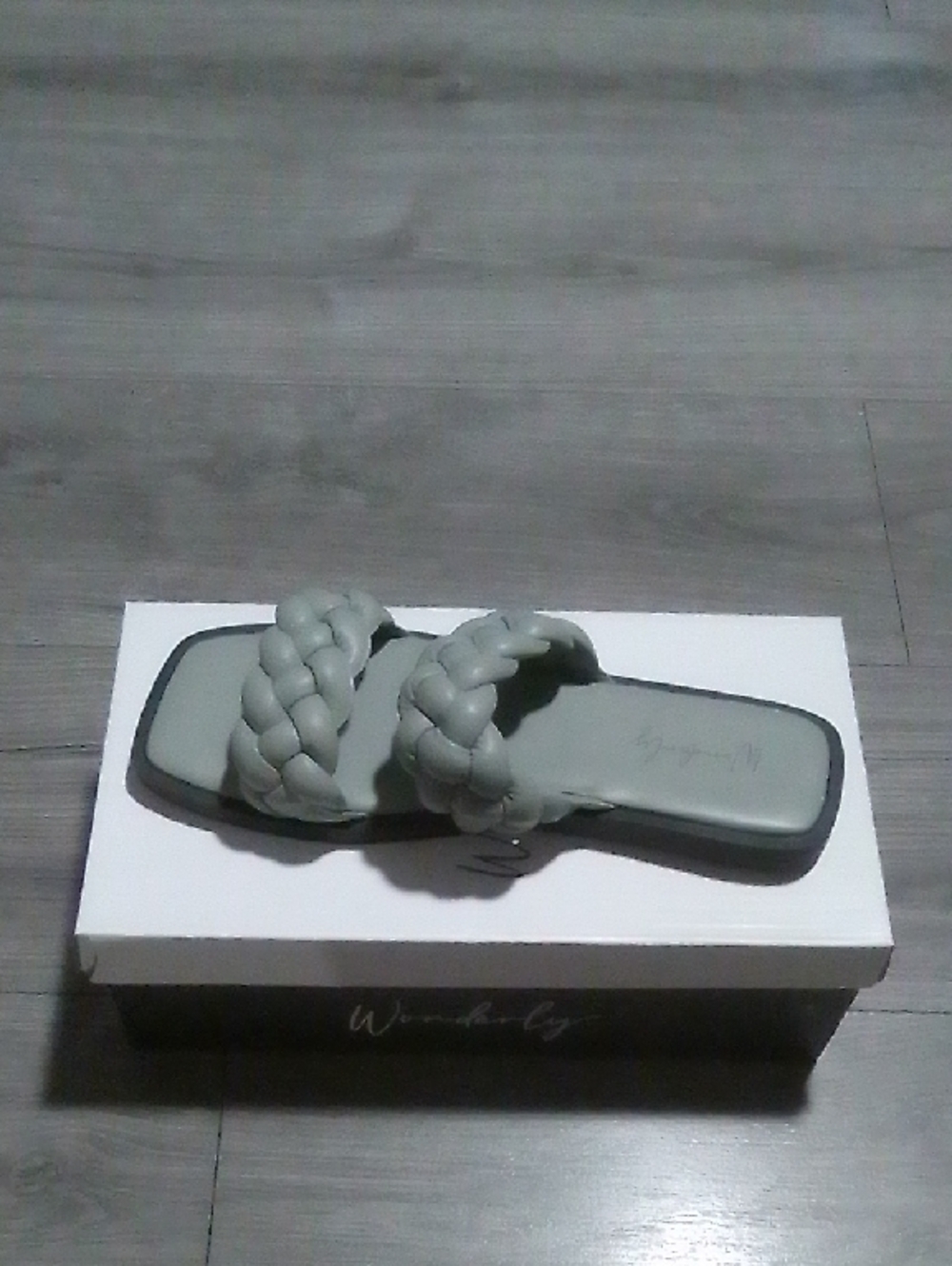 Wonderly Braided Double-Strap Slide Sandals in Sage